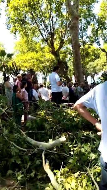 Çınar dalı vatandaşların üzerine düştü!  Yaralılar var
