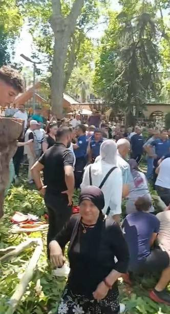 Çınar dalı vatandaşların üzerine düştü!  Yaralılar var
