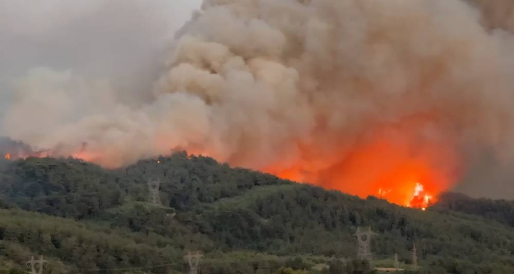 Hatay’daki orman yangınında flaş gelişme!