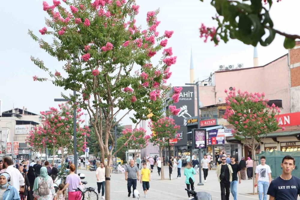 O ilde kişi başına 29 metrekare yeşil alan düşüyor