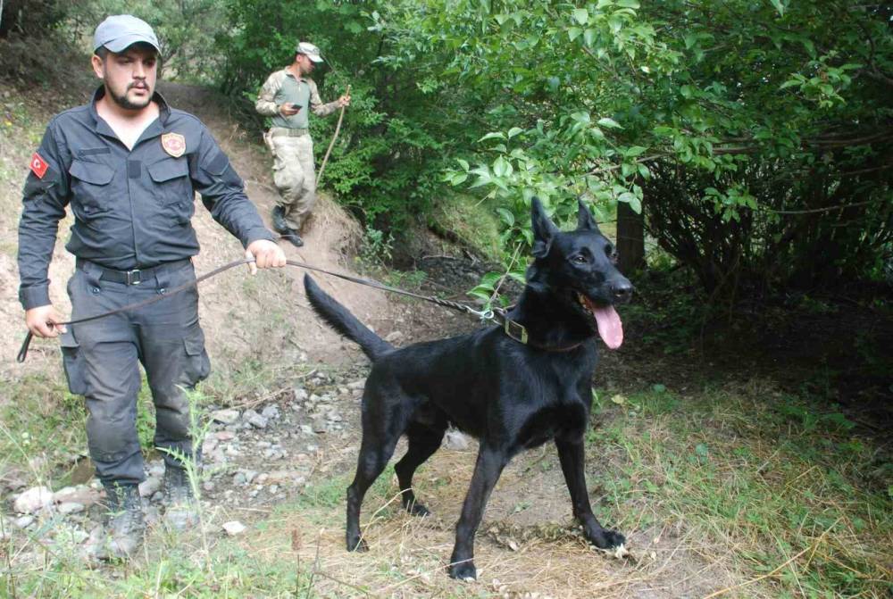 Tokat’ta sır gibi kayıp! Oyun oynamaya diye çıktı, 7 yıldır haber yok!