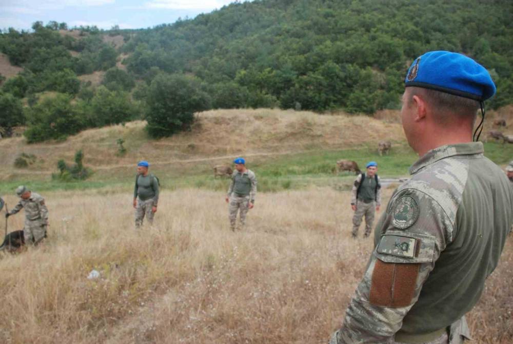 Tokat’ta sır gibi kayıp! Oyun oynamaya diye çıktı, 7 yıldır haber yok!