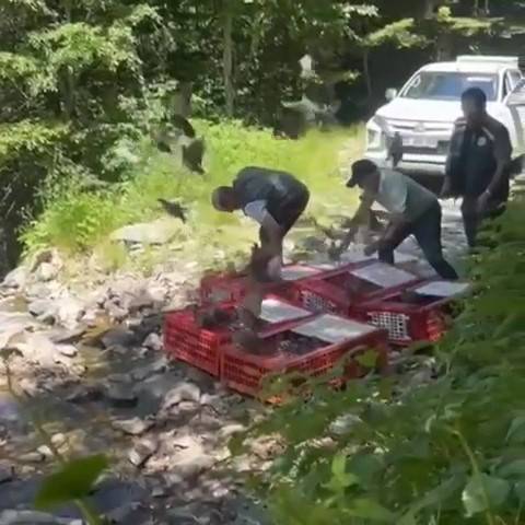 Kene ile mücadele timleri doğada