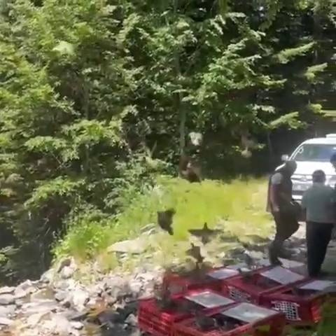 Kene ile mücadele timleri doğada