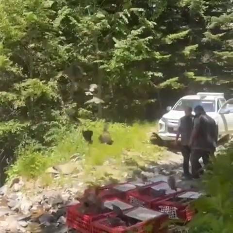 Kene ile mücadele timleri doğada