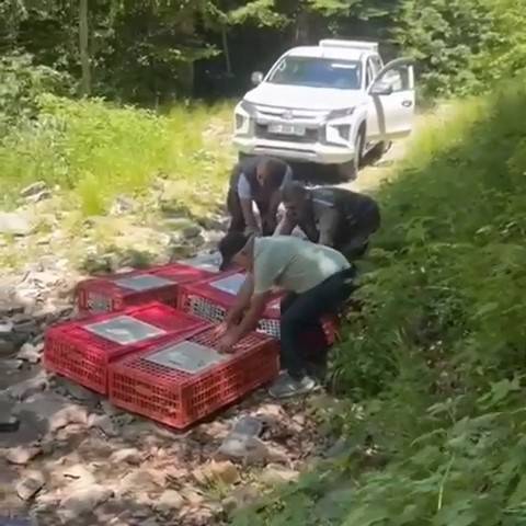 Kene ile mücadele timleri doğada