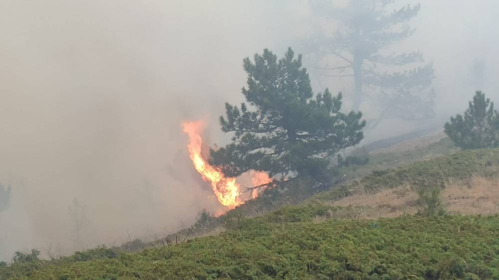 Çay ateşi ormanı yaktı! Konya'da yangın felaketi: 1 kişi gözaltına alındı