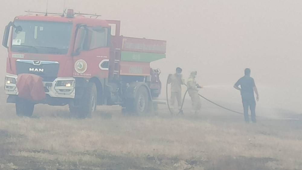 Çay ateşi ormanı yaktı! Konya'da yangın felaketi: 1 kişi gözaltına alındı