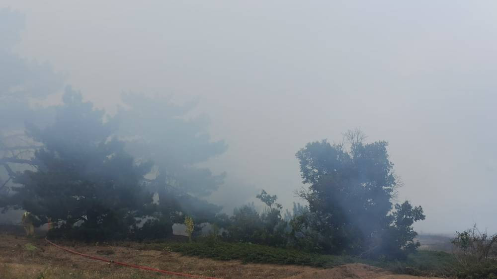 Çay ateşi ormanı yaktı! Konya'da yangın felaketi: 1 kişi gözaltına alındı