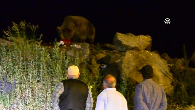 pte-yiyecek-ararken-goruntulendi-tepe-mahallesinde-korku-dolu-anlar-dikkatli-olun-uyarisi-yenicag-15.jpg