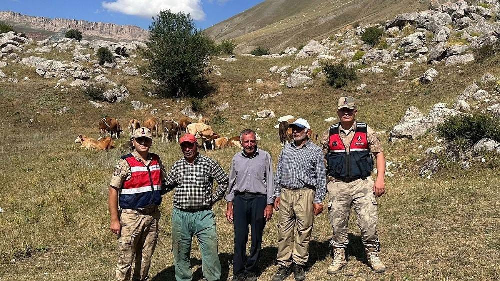 Günlerdir kayıplardı: 17 büyükbaş hayvan bulundu