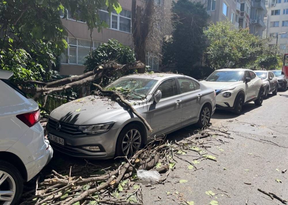 Çürük ağaç dalı otomobile düştü! Yaya son anda kurtuldu