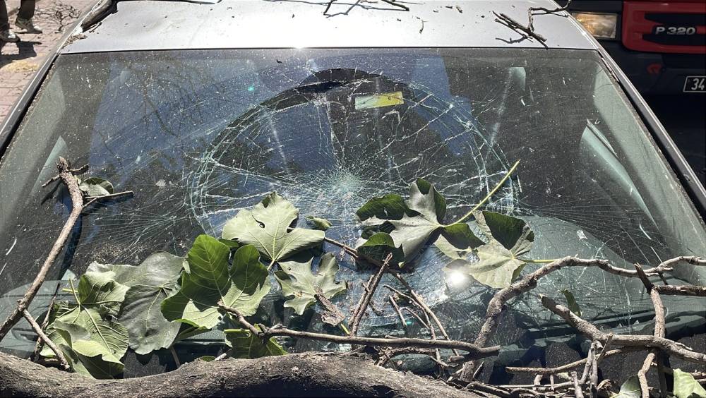 Çürük ağaç dalı otomobile düştü! Yaya son anda kurtuldu