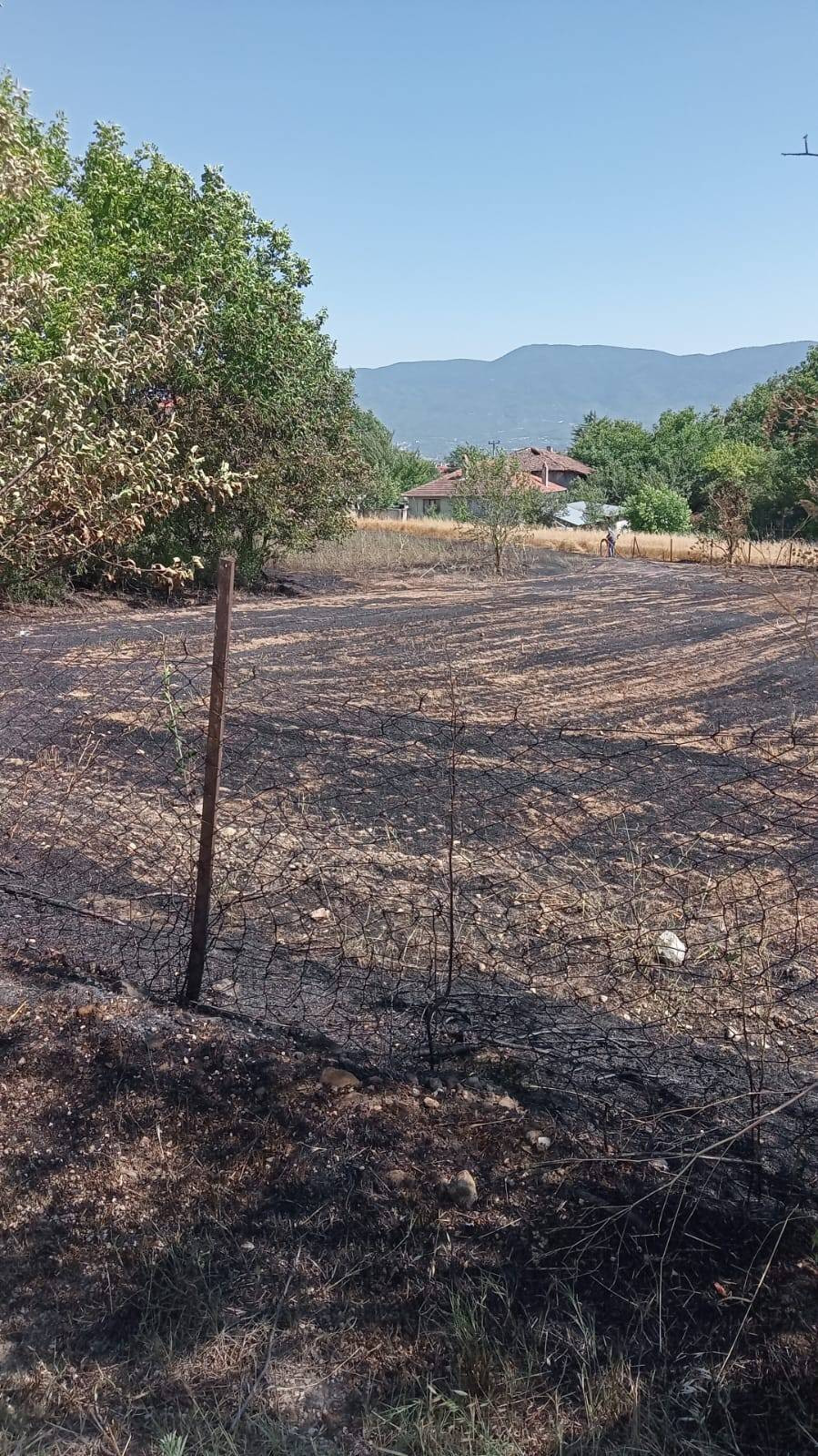 Bolu’da anız yangını! Yükselen dumanlar korkuttu... Yerleşim yerine çok yakın