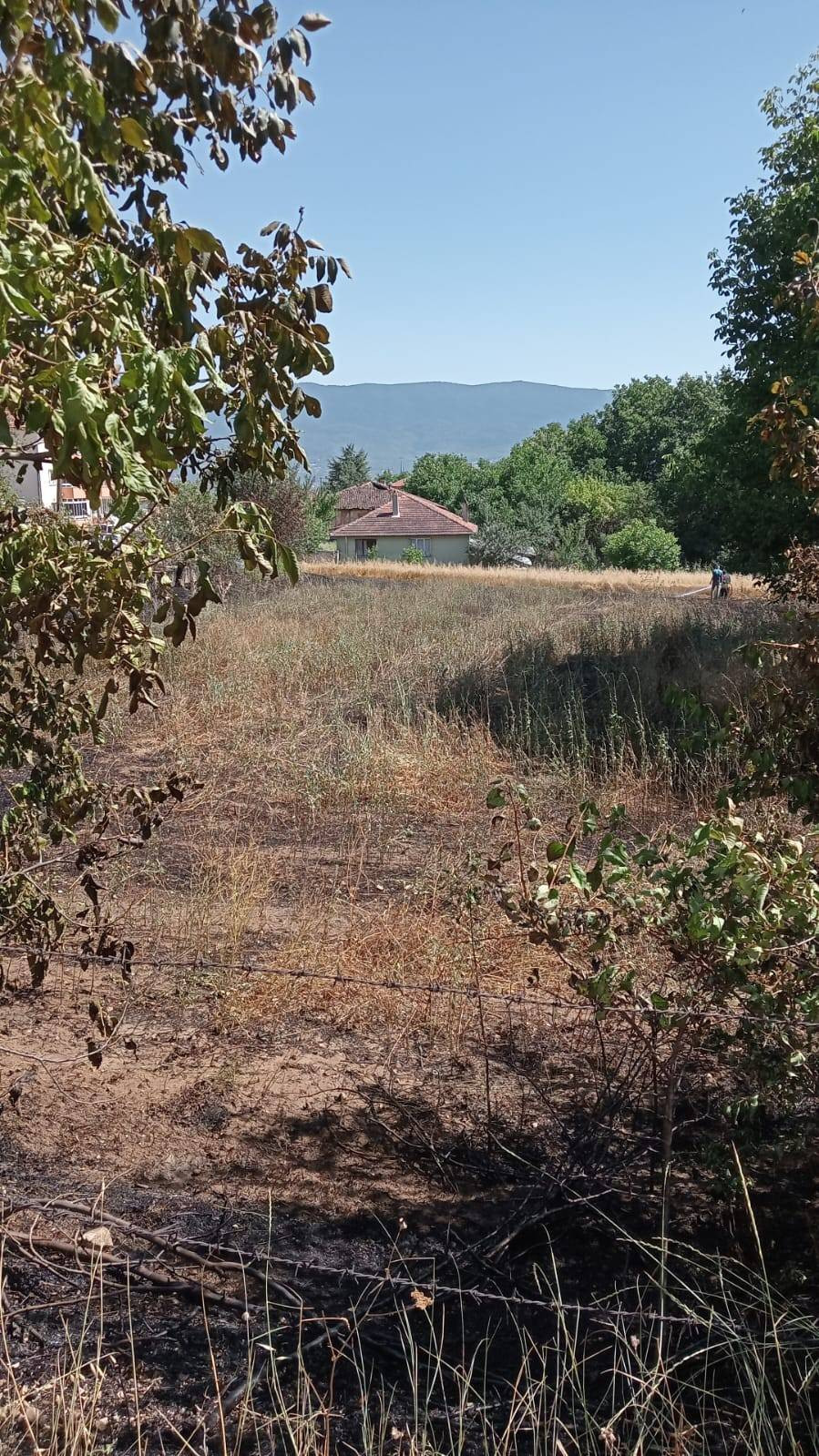 Bolu’da anız yangını! Yükselen dumanlar korkuttu... Yerleşim yerine çok yakın