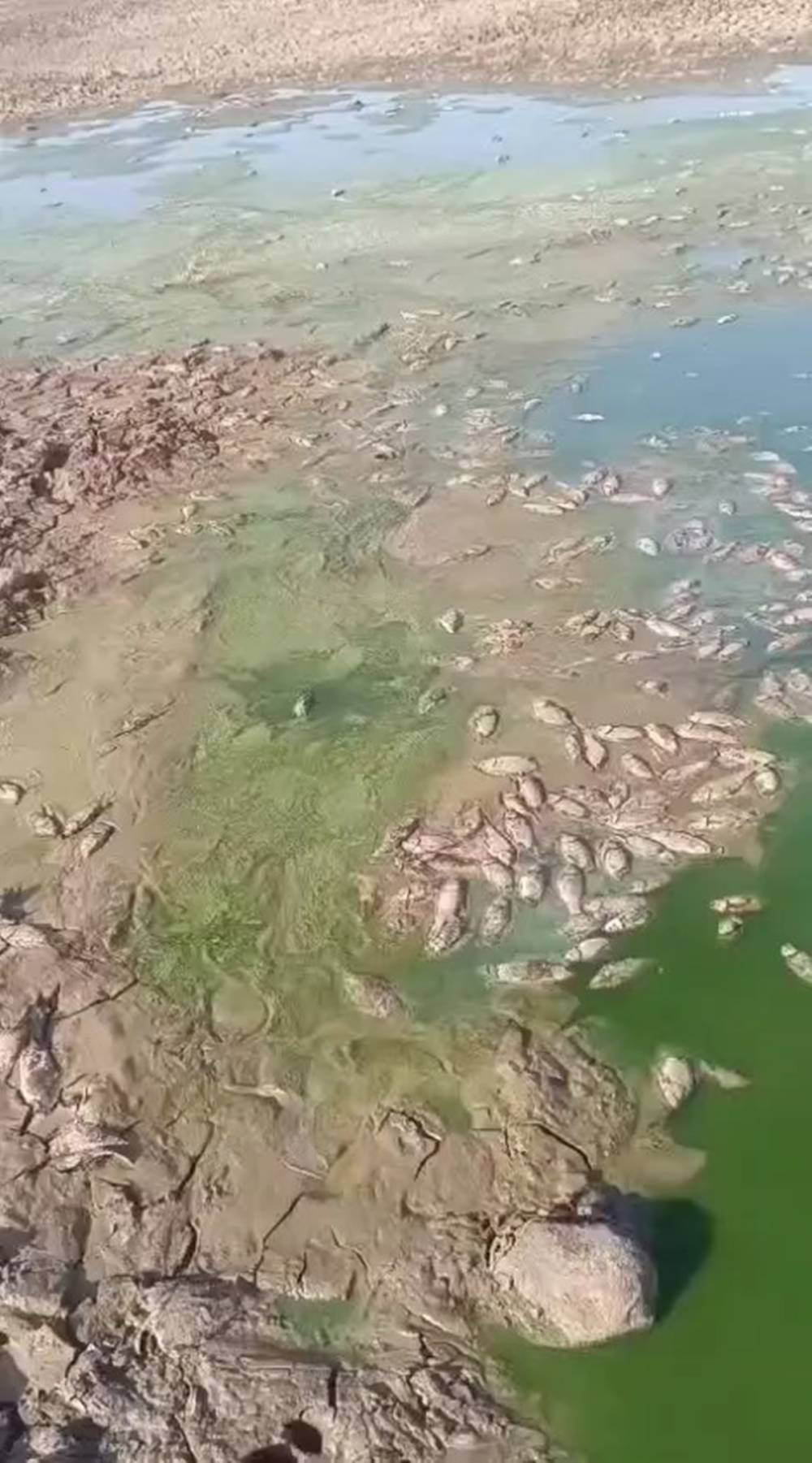 Şırnak'ta korkutan manzara! Gören hayrete düştü