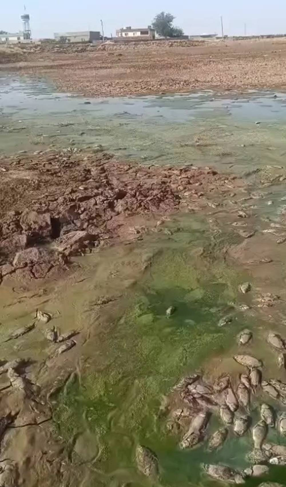 Şırnak'ta korkutan manzara! Gören hayrete düştü