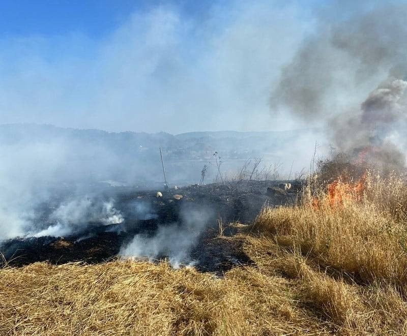 Sinop’ta anız yangını: Ortalık küle döndü!