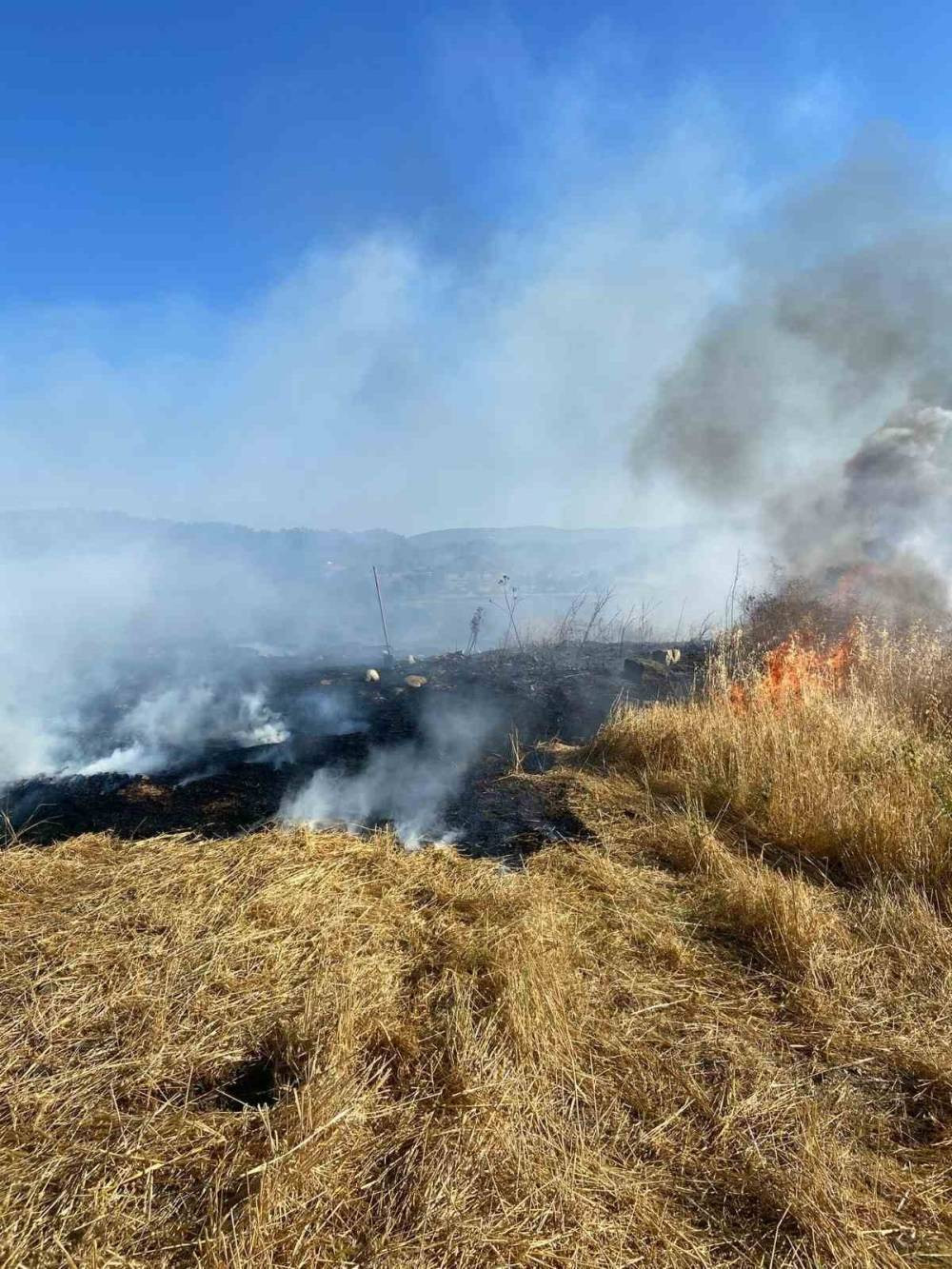 Sinop’ta anız yangını: Ortalık küle döndü!