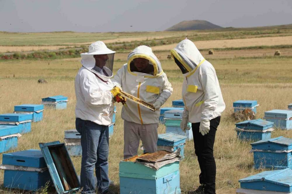 Karsta arıcılar umutlu! 2025’te rekor bekleniyor!