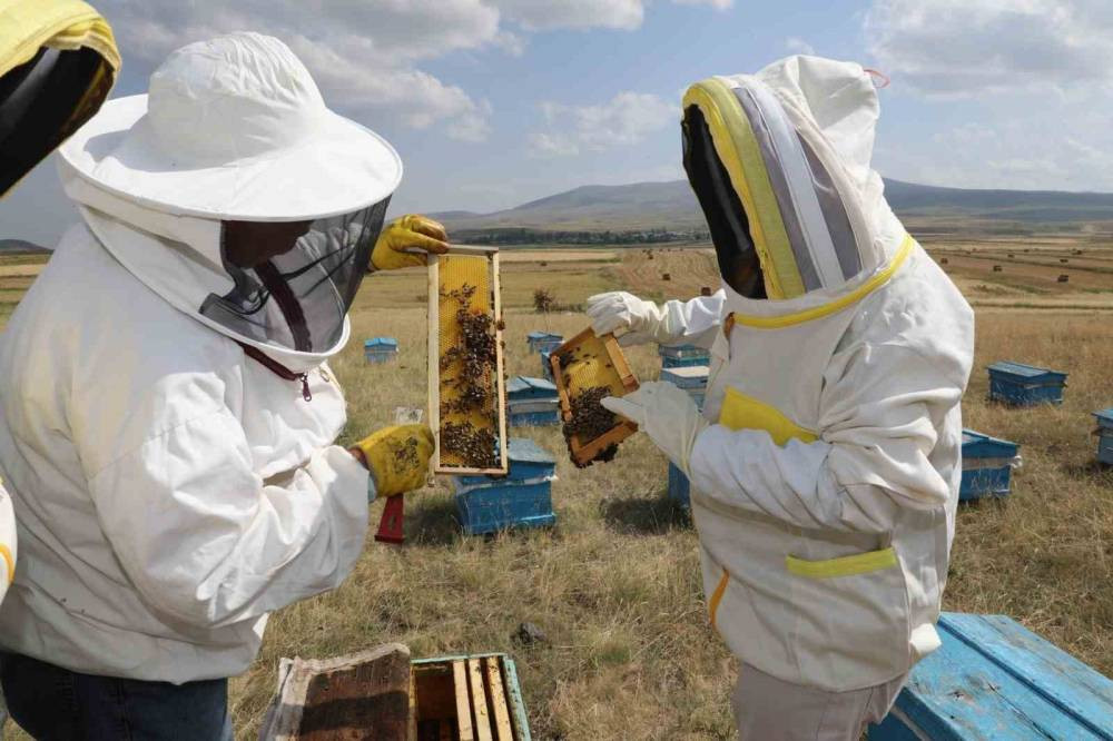 Karsta arıcılar umutlu! 2025’te rekor bekleniyor!