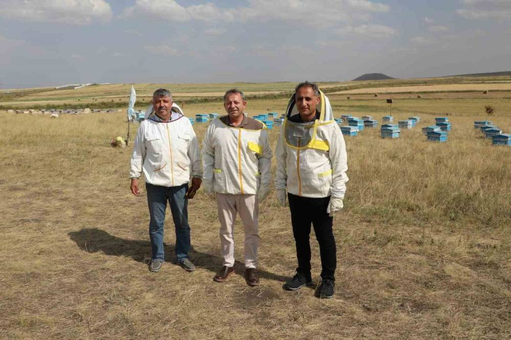 Karsta arıcılar umutlu! 2025’te rekor bekleniyor!