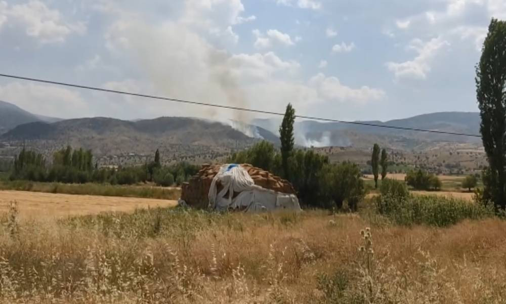 Abdurrahman Köyünde felaket! Yangın evleri yuttu