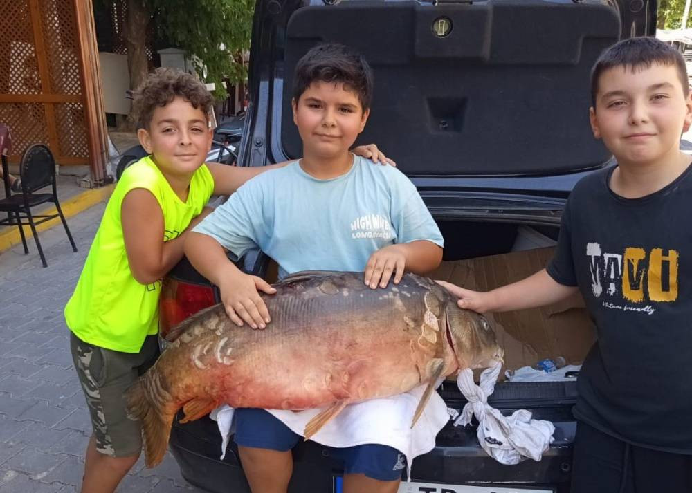 Amatör balıkçının oltasına takıldı: 38 kilo şaşkınlığı!