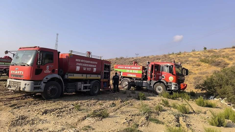 Hatay'da ormanlık alanda yangın