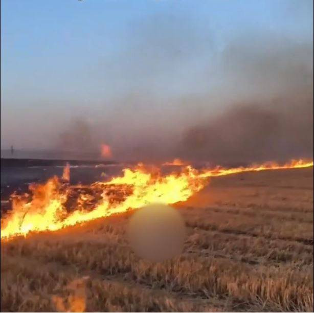 Tarlayı çubukla Yaktı! Paylaşımı kendini ele verdi