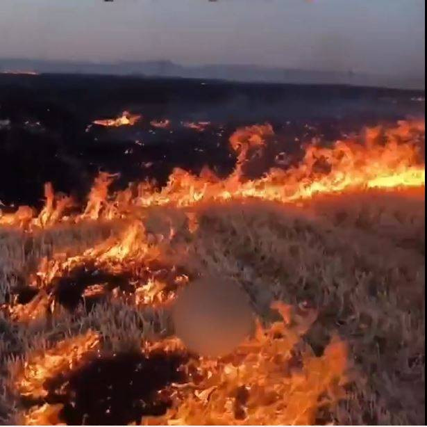 Tarlayı çubukla Yaktı! Paylaşımı kendini ele verdi