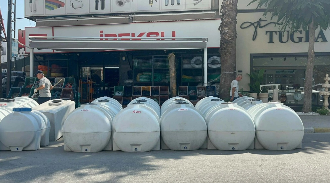 2-014.jpg