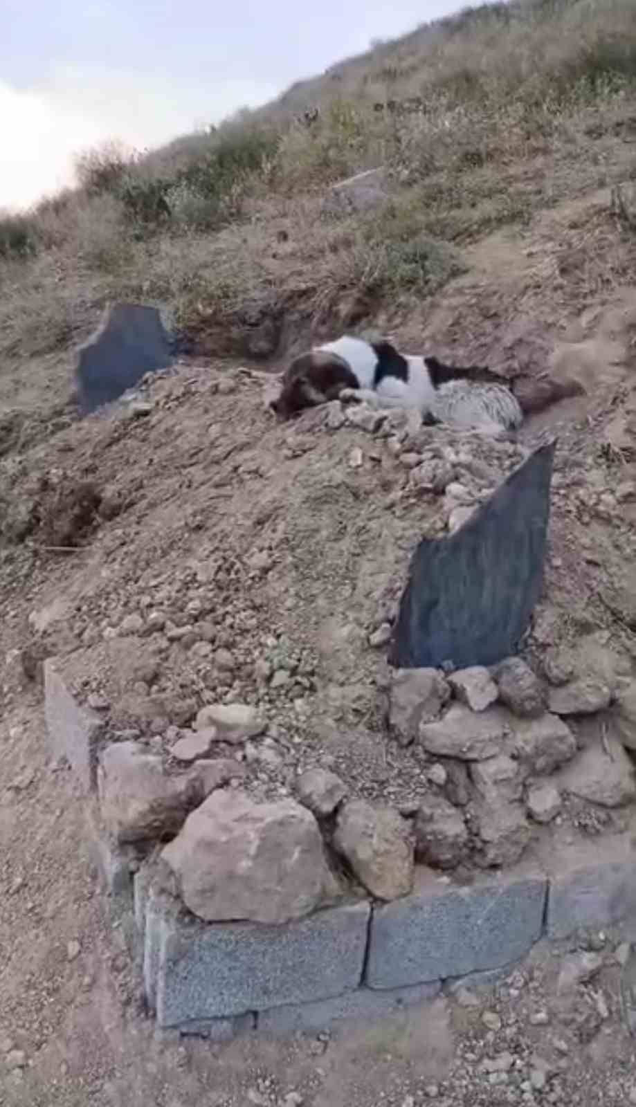 Henüz 27 yaşındaydı: Mezardaki nöbet yürekleri dağladı!