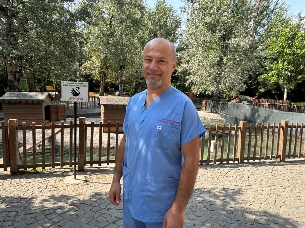 Yaralı yaban ördeğinin geçici yuvası bakın neresi oldu!