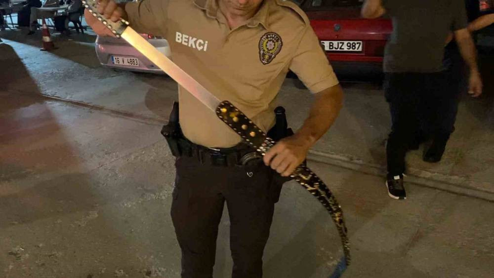 Bekçilerin gözünden kaçmadı! 60 santim uzunluğunda