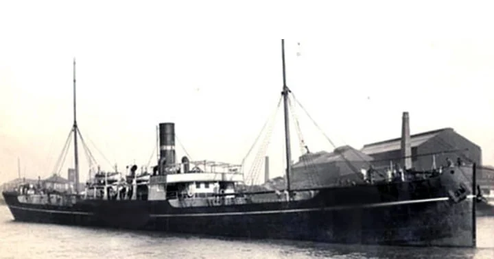 bozkurt-silebi.webp