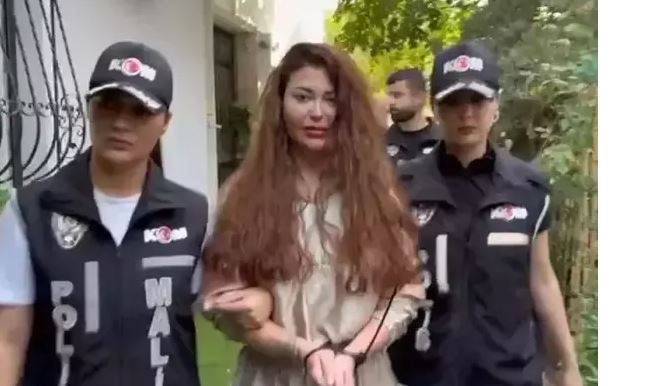 neslim1.jpg