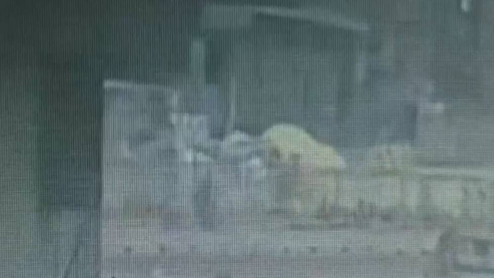 Bağcılar’da pikap dehşeti! İşçilerin kaldığı konteynere çarptı