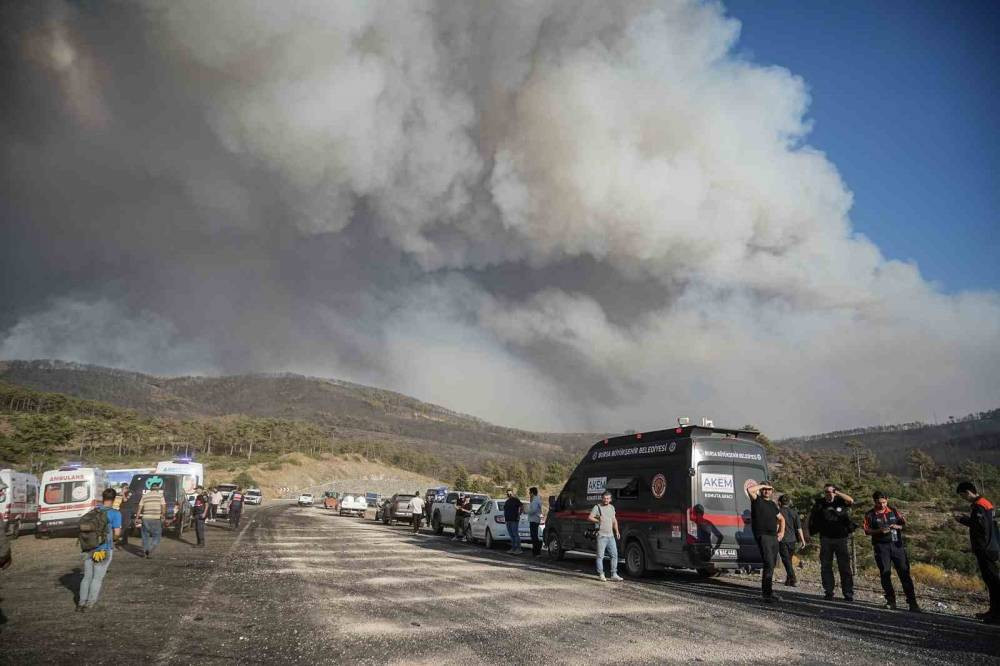 Profesör açıkladı: Yanan 3 bin hektar orman için 100 yıl gerekiyor