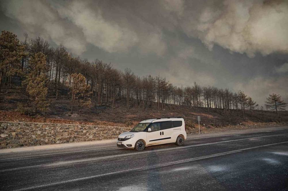 Profesör açıkladı: Yanan 3 bin hektar orman için 100 yıl gerekiyor