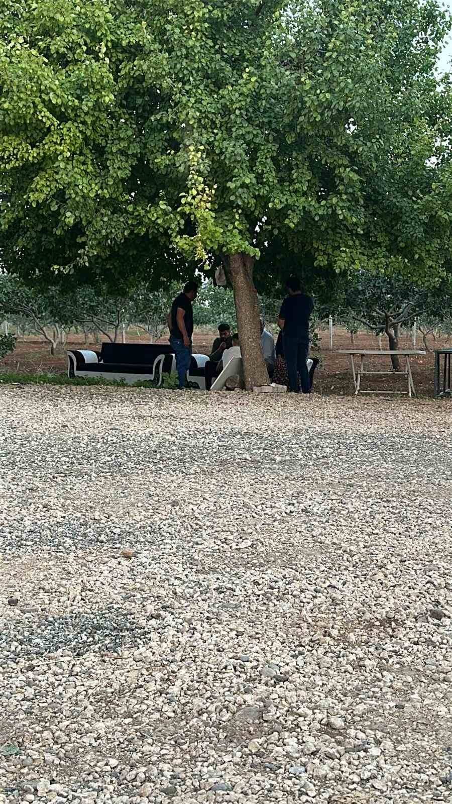 Aile içi korkunç cinayet: Tüyler ürperten ölümde sır perdesi çözüldü!