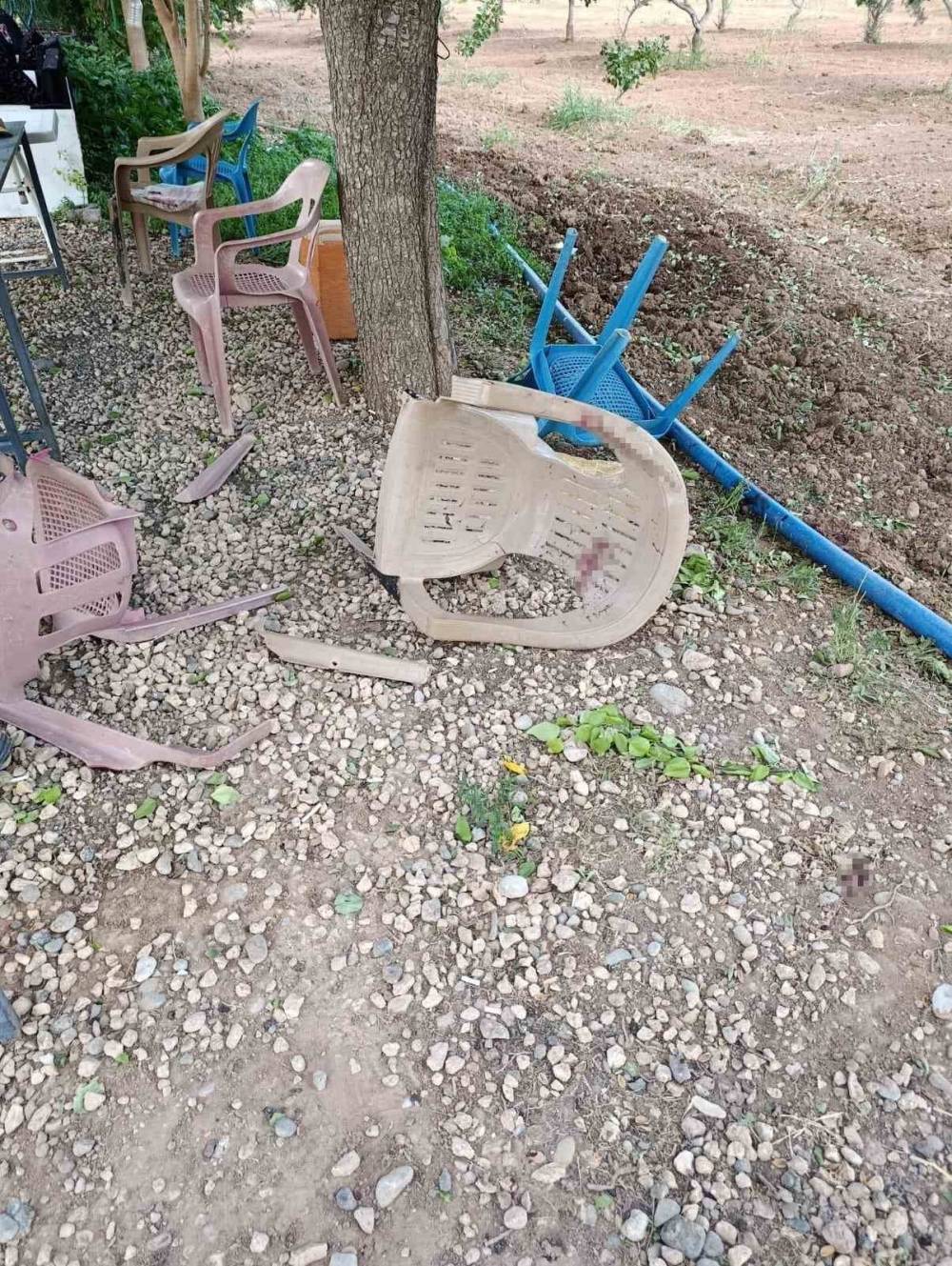 Aile içi korkunç cinayet: Tüyler ürperten ölümde sır perdesi çözüldü!