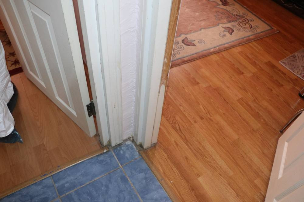 7 yıl önce ortadan kaybolmuştu: Parkenin altından korkunç detaylar ortaya çıktı!