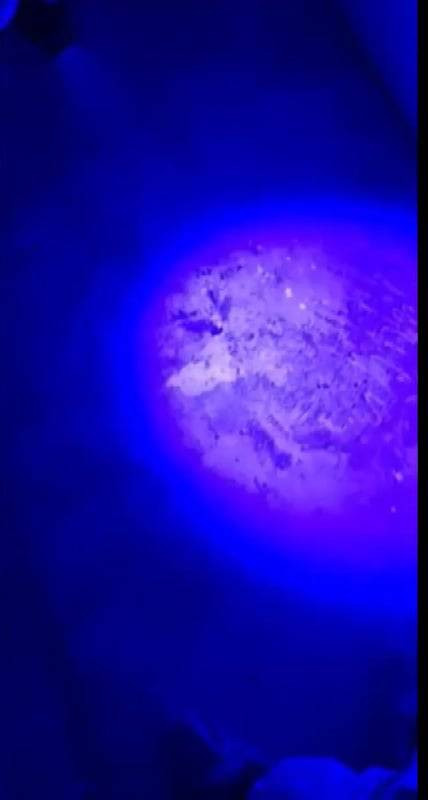 7 yıl önce ortadan kaybolmuştu: Parkenin altından korkunç detaylar ortaya çıktı!