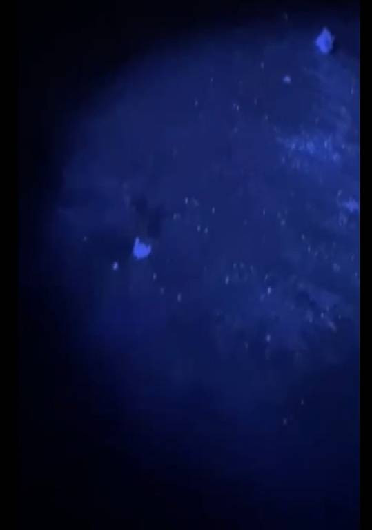 7 yıl önce ortadan kaybolmuştu: Parkenin altından korkunç detaylar ortaya çıktı!