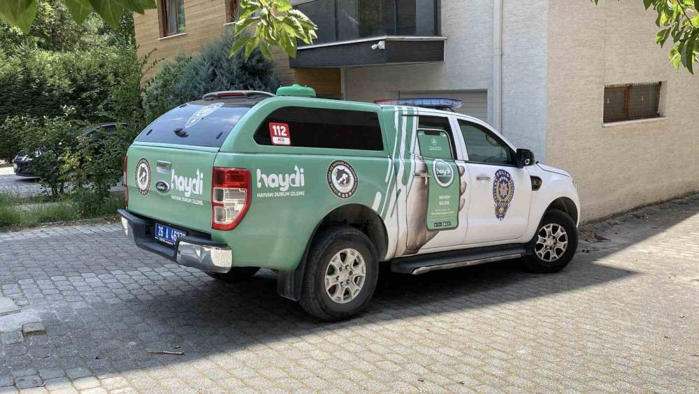 Vicdansızlığın böylesi: Kediyi balkona mahkum etti iddiası!