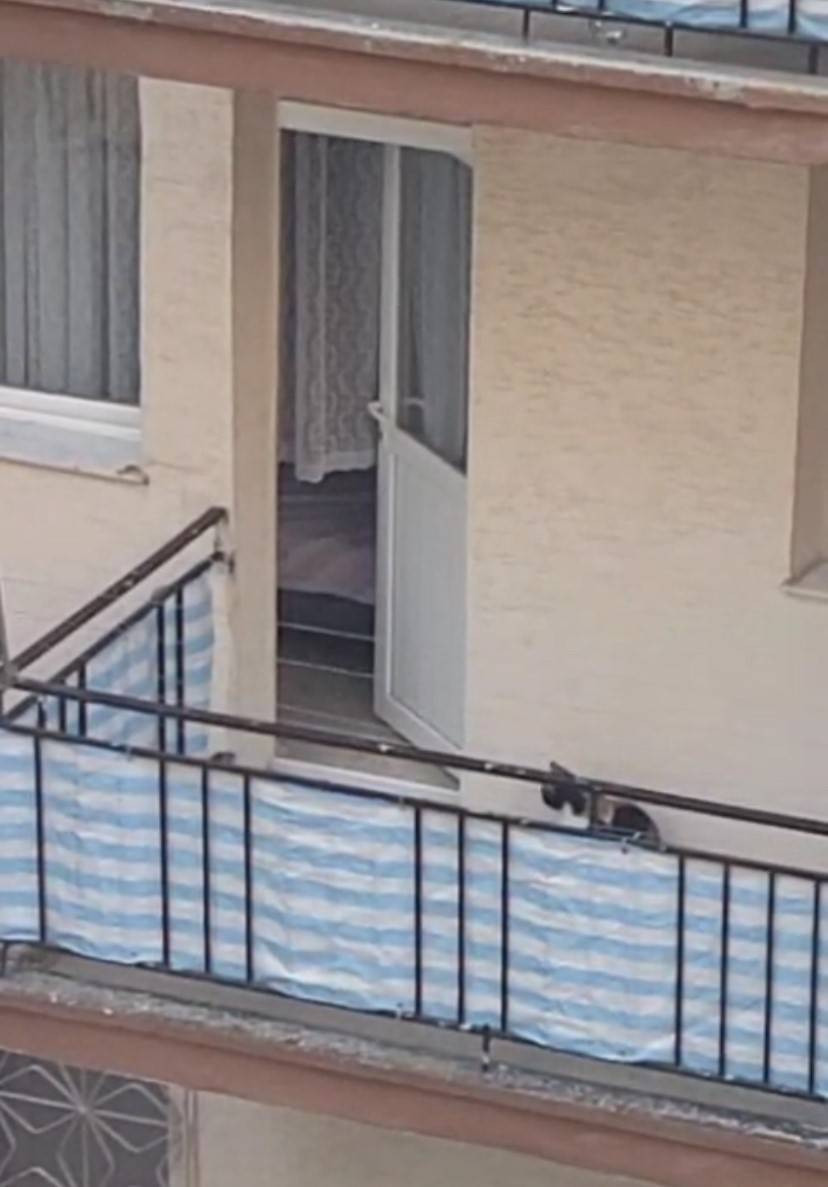 Vicdansızlığın böylesi: Kediyi balkona mahkum etti iddiası!