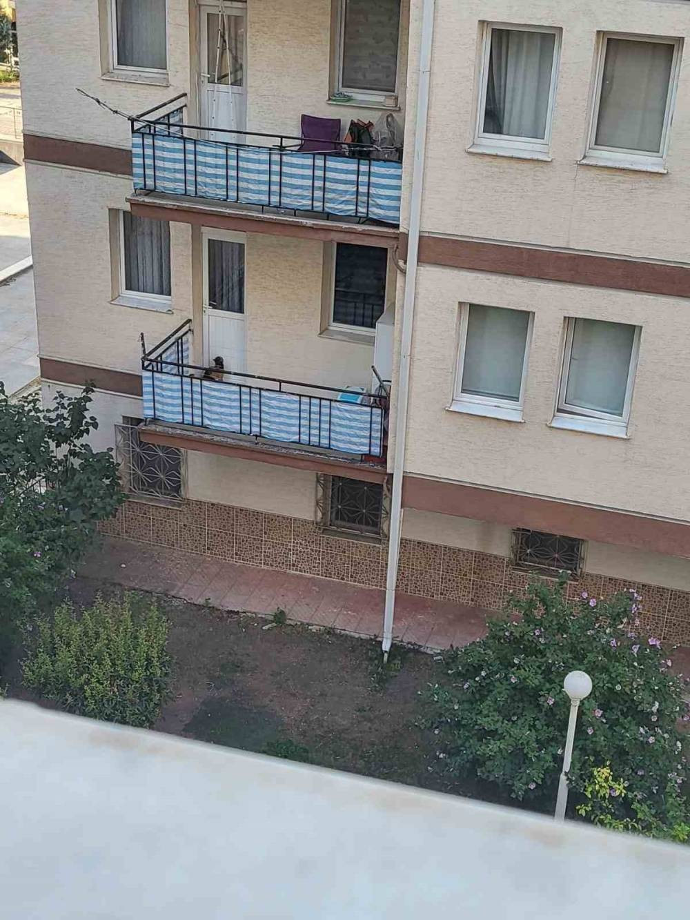 Vicdansızlığın böylesi: Kediyi balkona mahkum etti iddiası!