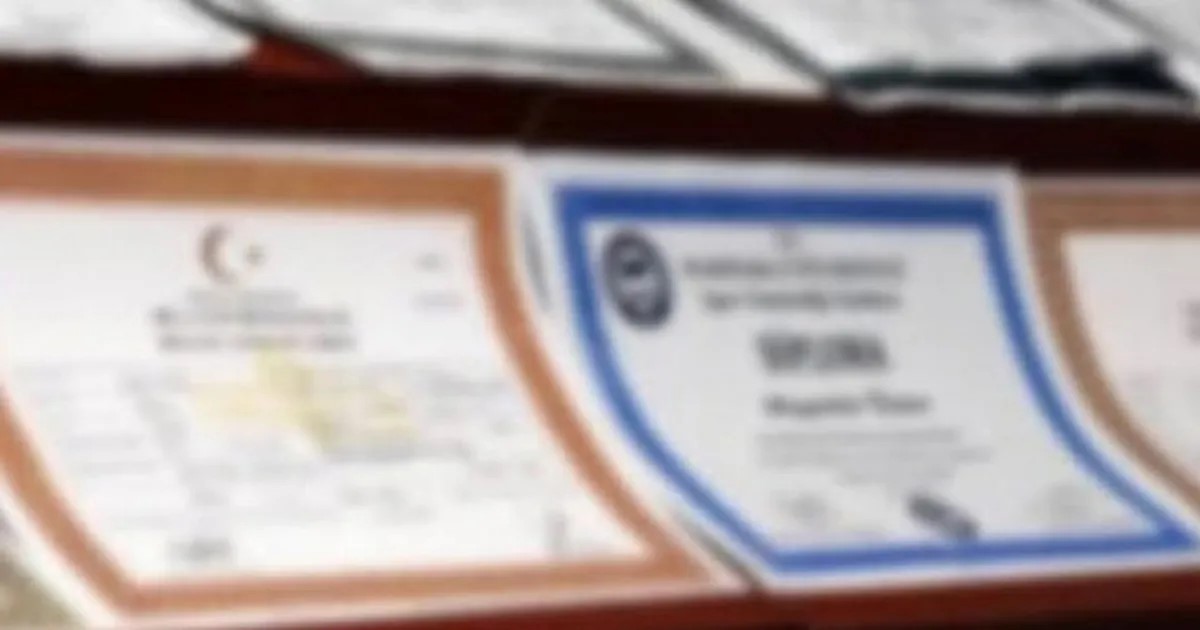 diploma.jpg
