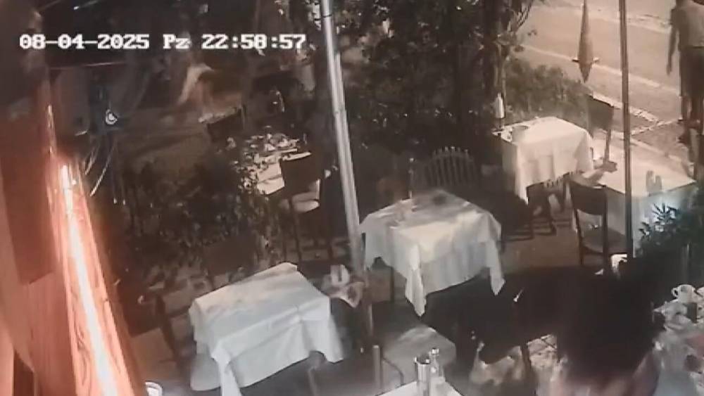 Eğlence mekanında dehşet! Kedi yüzünden silahlar konuştu